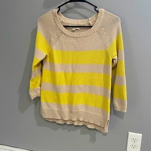 Ann Taylor Loft sweater